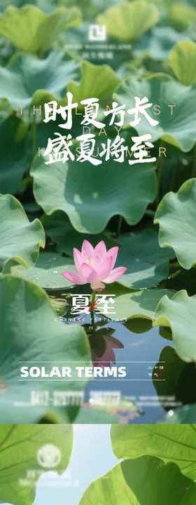 夏至小暑海报