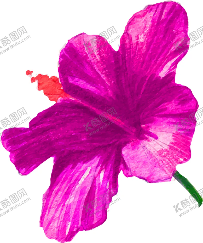 编号：68447605161027002906【酷图网】源文件下载-鲜花素材