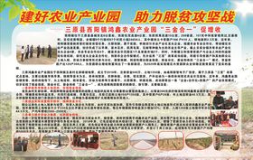 产业发展