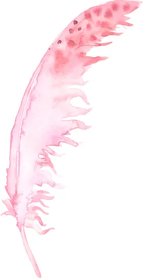 羽毛 素材
