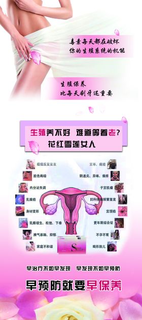 花红雪莲展架