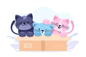 可爱猫猫背景壁纸咪宠物咪