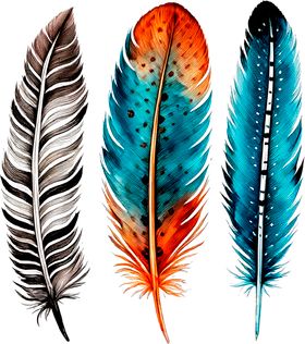 多彩羽毛插画