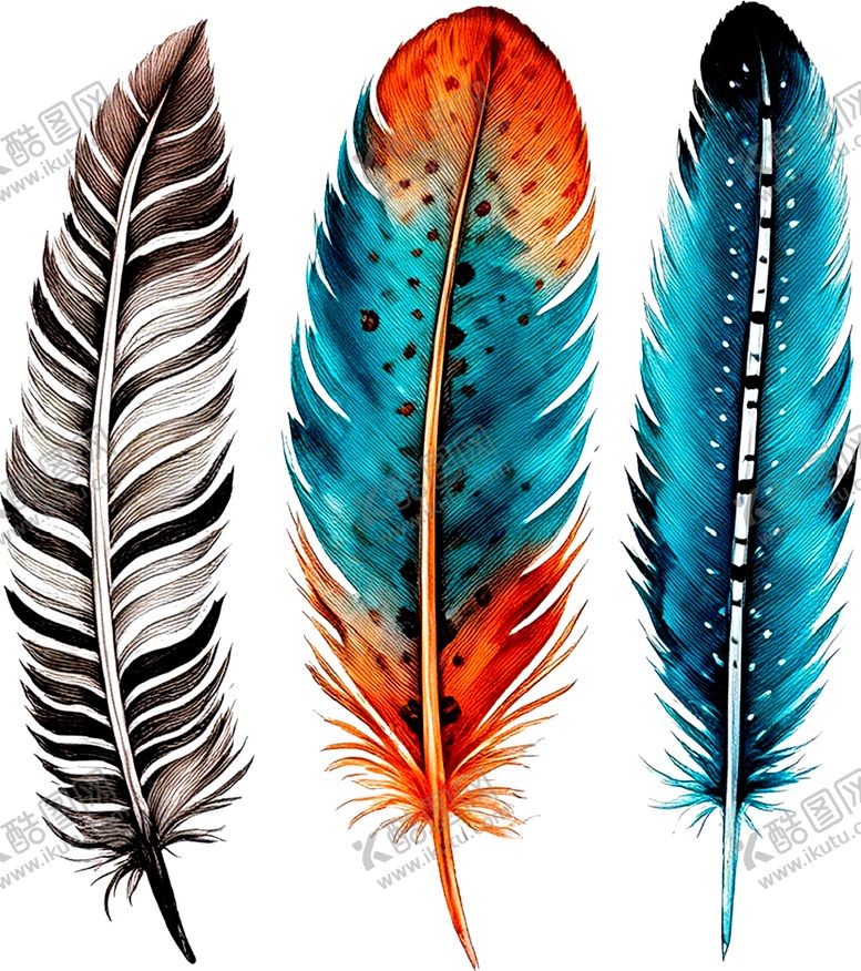 编号：32379404302242231067【酷图网】源文件下载-多彩羽毛插画