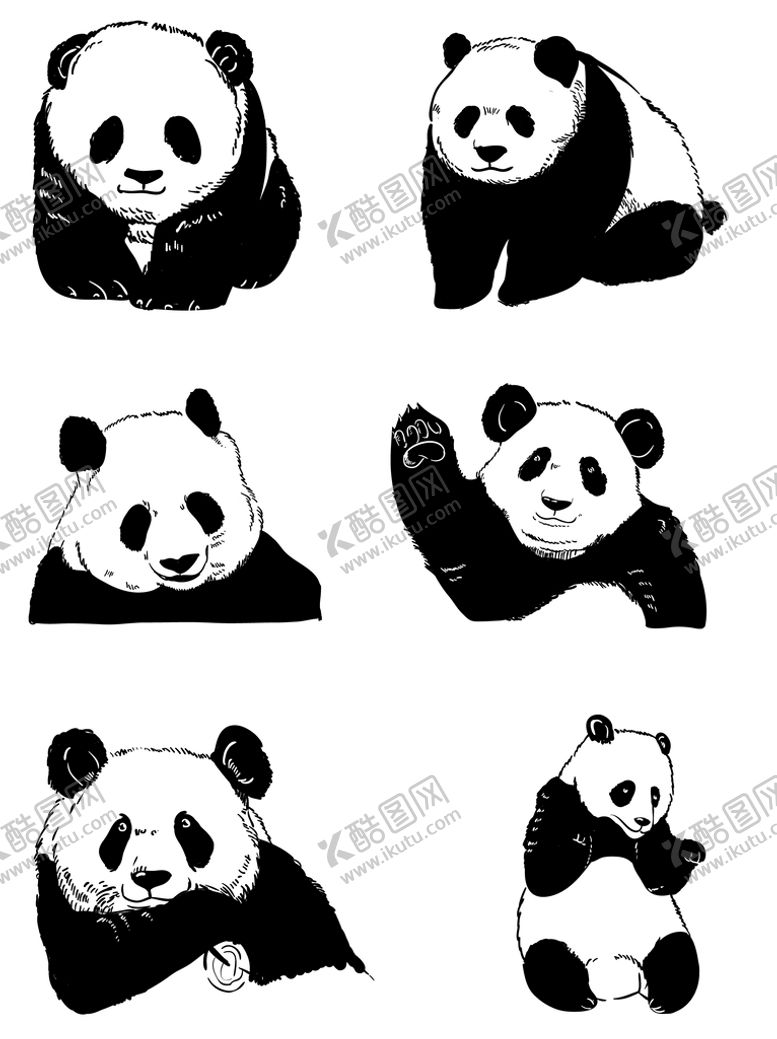 编号：16375210090752089187【酷图网】源文件下载-熊猫