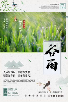 谷雨海报