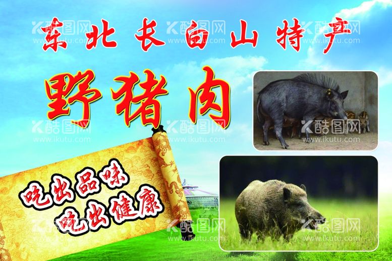 编号：17519312201058198196【酷图网】源文件下载-野猪肉