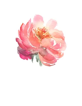 水彩花纹背景朵墨环
