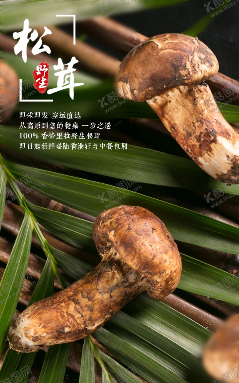 编号：99685504230030107715【酷图网】源文件下载-美食海报