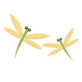 蜻蜓