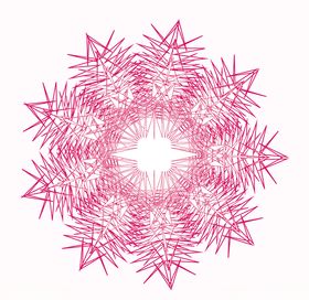 粉色花朵图片