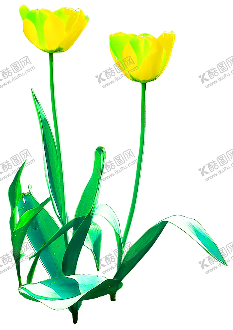 编号：52013706160957092671【酷图网】源文件下载-花素材