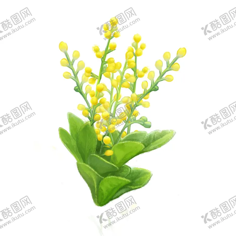 编号：86847702081518115585【酷图网】源文件下载-春天阳春三月绿植黄花