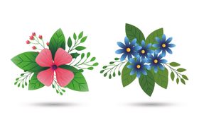 矢量手绘花朵