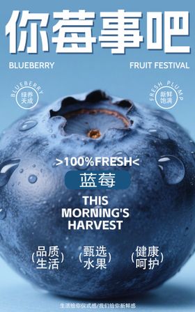 水果设计海报蓝莓
