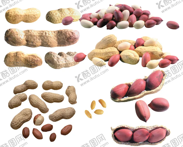 编号：72549310012051544927【酷图网】源文件下载-免抠花生
