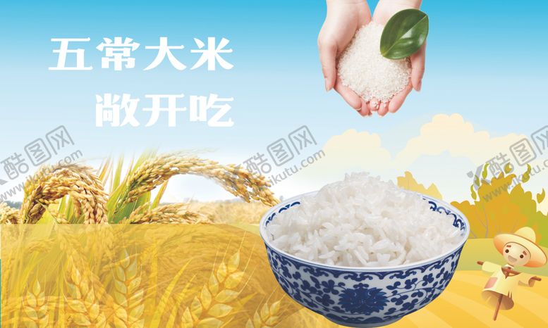 编号：44093601310550312902【酷图网】源文件下载-五常大米