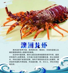 澳洲龙虾