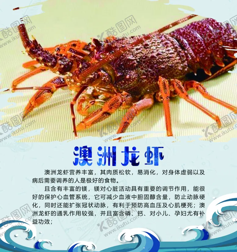 编号：34541006171431498088【酷图网】源文件下载-澳洲龙虾