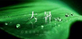 大暑海报