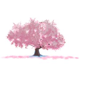 樱花装饰