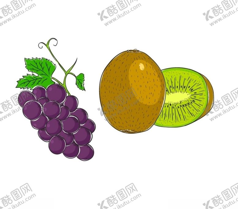 编号：50740609121514029804【酷图网】源文件下载-葡萄猕猴桃