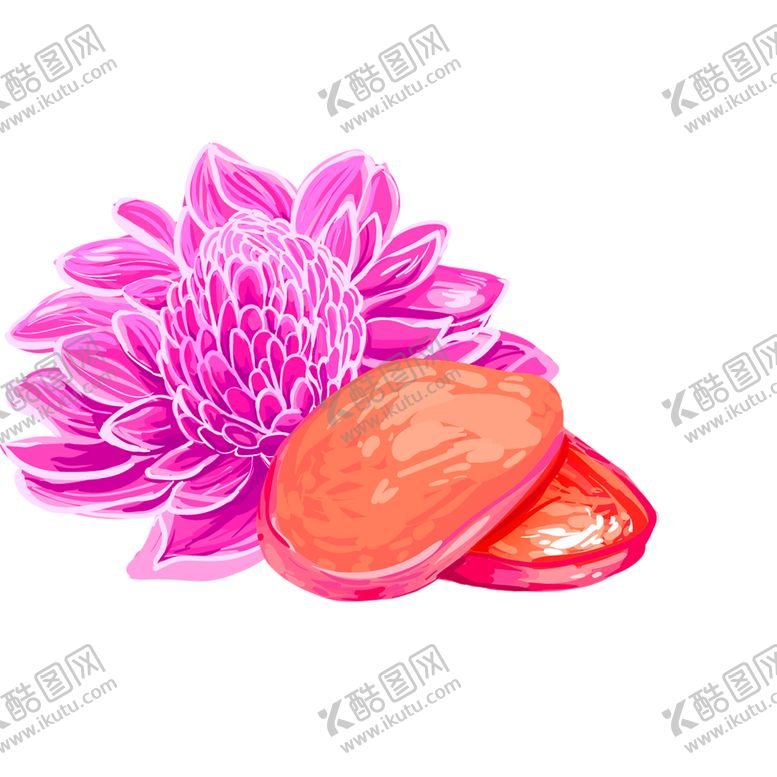 编号：44449711011006532397【酷图网】源文件下载-鲜花素材