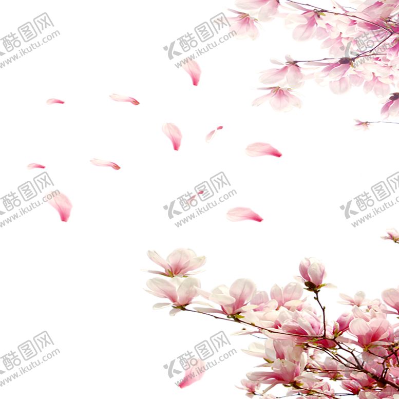 编号：15959606270541334283【酷图网】源文件下载-手绘植物花卉