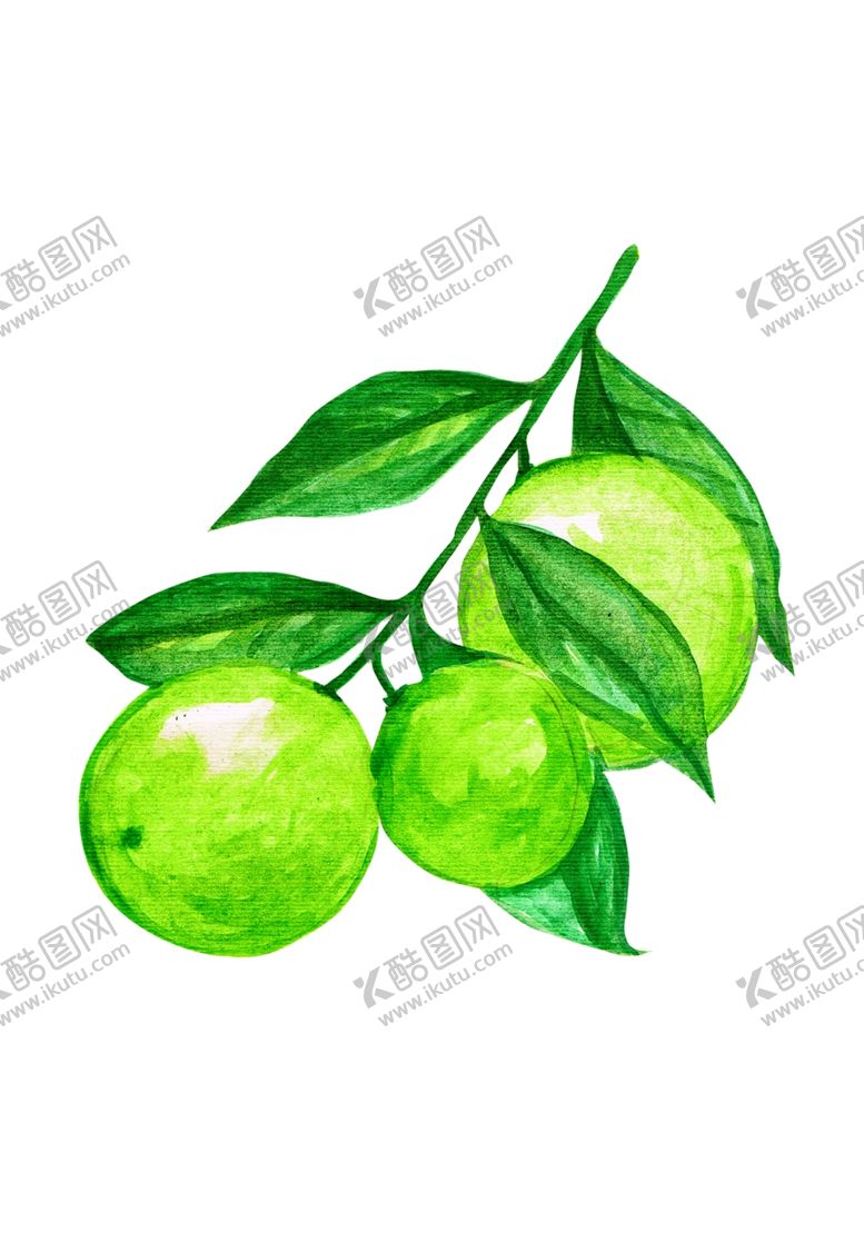 编号：16517110310910437072【酷图网】源文件下载-水果