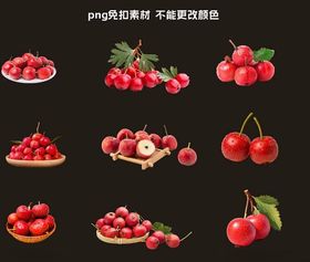 山楂素材