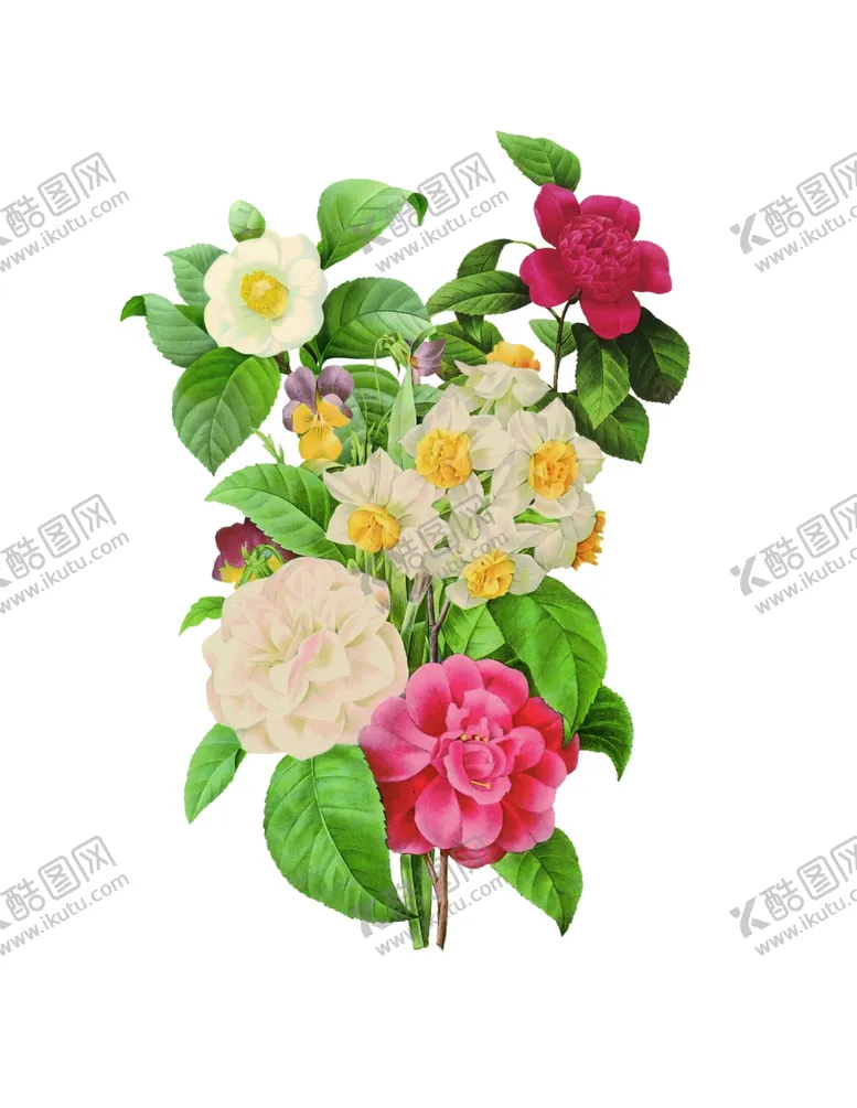 编号：64516901191412085227【酷图网】源文件下载-水彩花素材