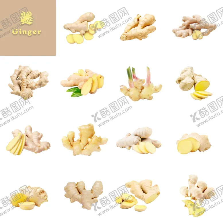编号：46952212140902599039【酷图网】源文件下载-生姜切片驱寒暖胃