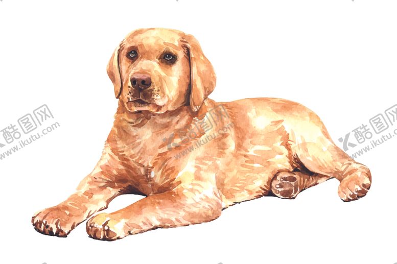 编号：95225409201033276899【酷图网】源文件下载-水彩动物