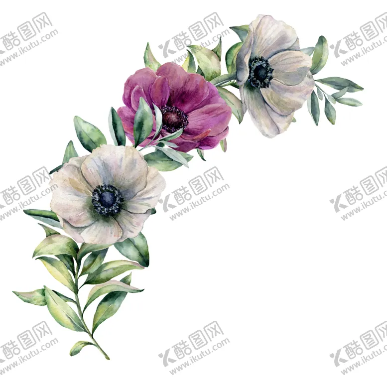 编号：85117201140020231980【酷图网】源文件下载-手绘花卉