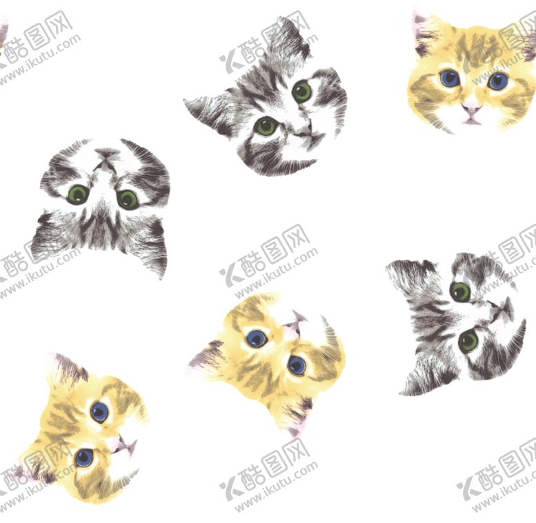 编号：27920407072322538979【酷图网】源文件下载-小猫