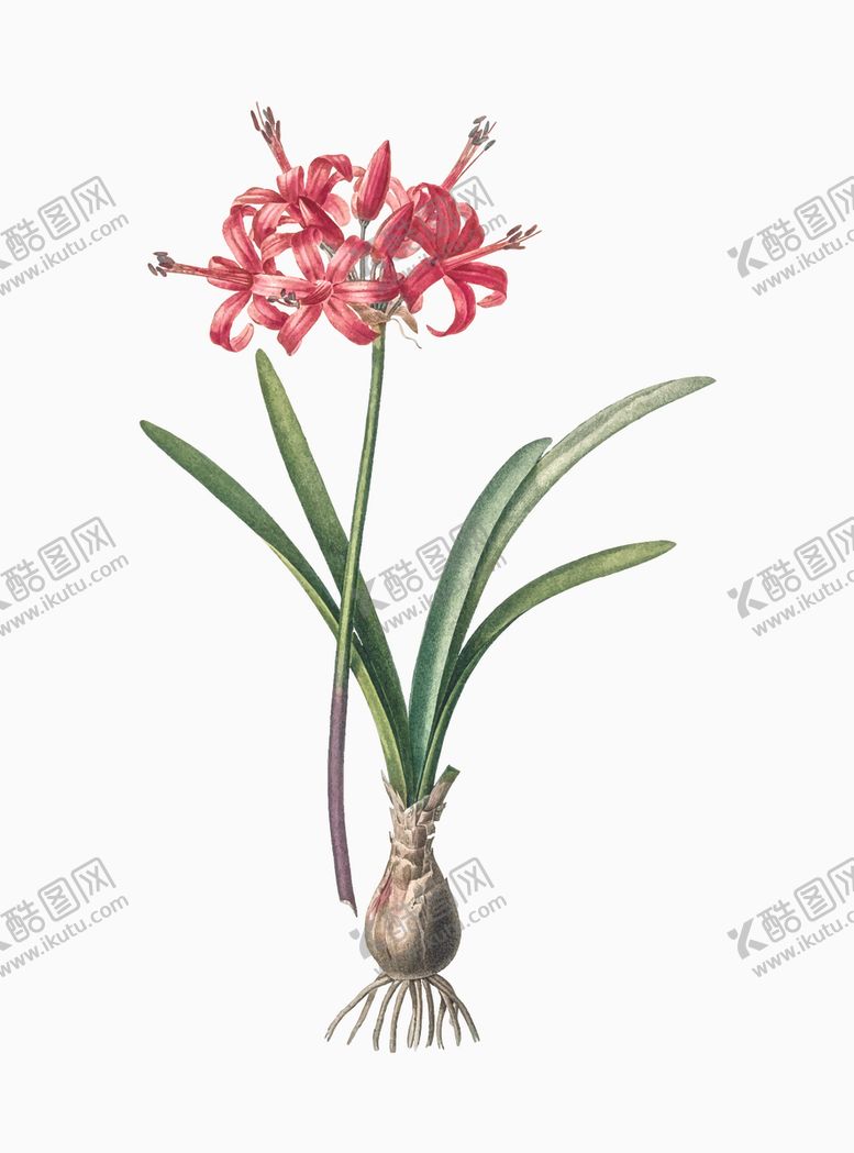 编号：77694307030149154920【酷图网】源文件下载-花纹