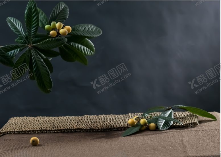 编号：96172809251151484749【酷图网】源文件下载-影楼摄影