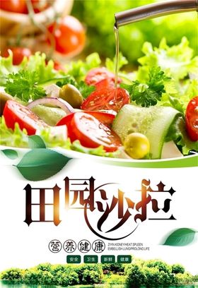 沙拉海报