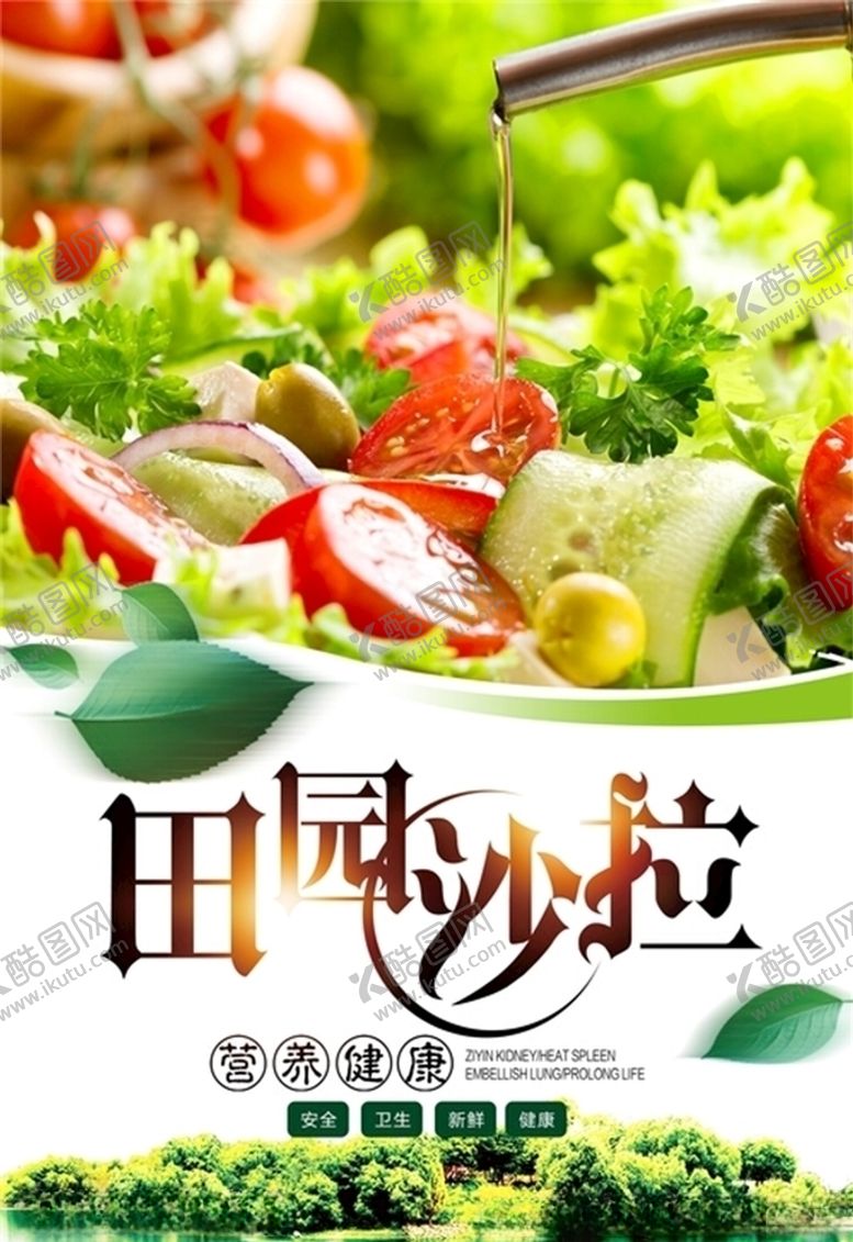 编号：67356406151610425030【酷图网】源文件下载-沙拉海报