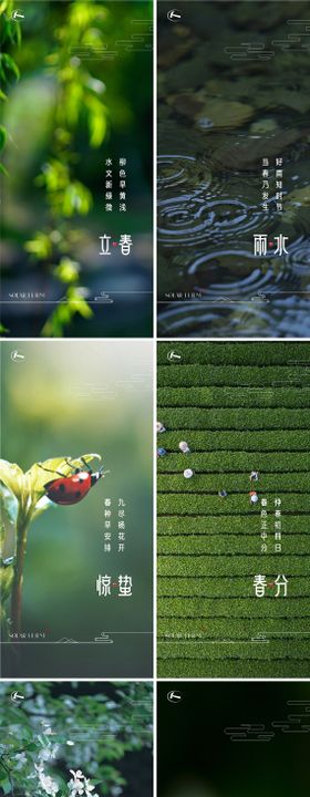春天春分节气系列海报
