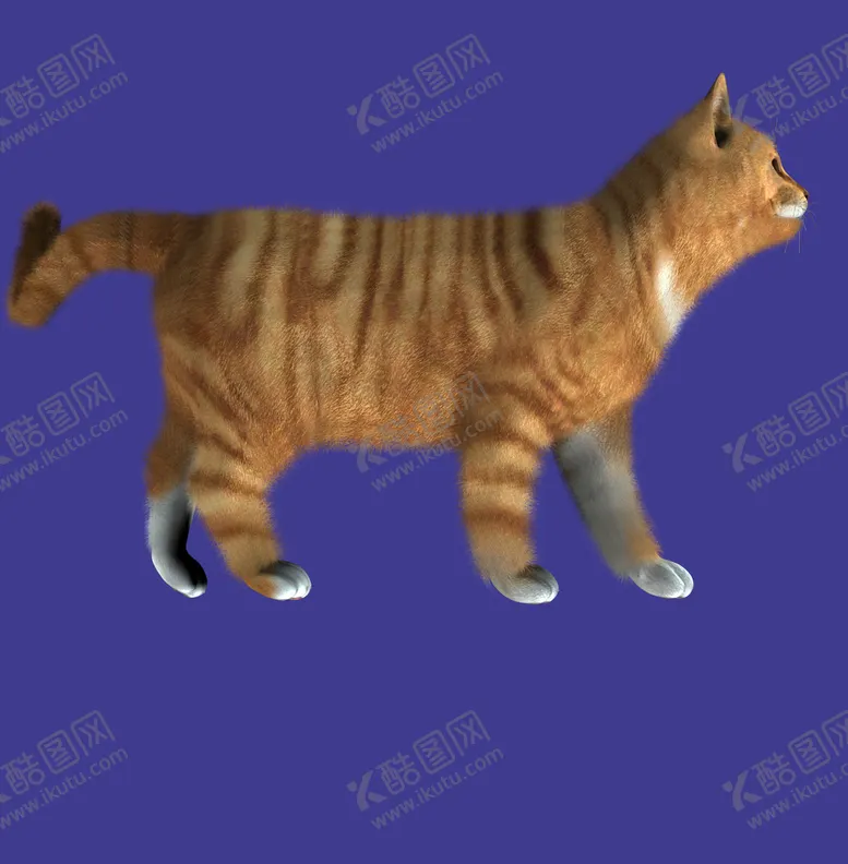 编号：23908710071954011749【酷图网】源文件下载-小猫