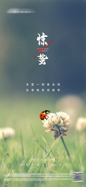 惊蛰海报地产二十四节气瓢虫蒲公英