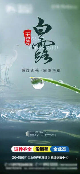 白露二十四节气中秋立秋风景
