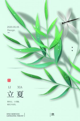 立夏海报