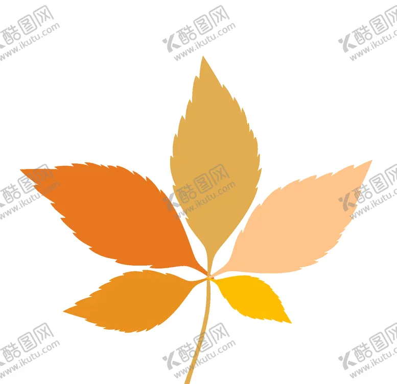 编号：16278809092247318393【酷图网】源文件下载-枫叶