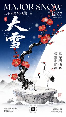 中式国风大雪节气宣传海报