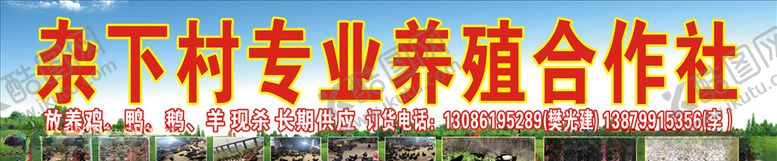 编号：45044409241841112483【酷图网】源文件下载-鸡鸭羊牌