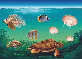 卡通鱼深海海星海底世界水草