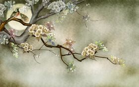 花鸟画手绘画鸟背景墙