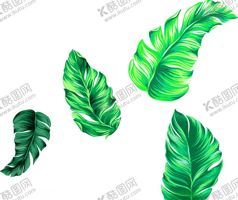 编号：33328109110744216089【酷图网】源文件下载-热带叶子